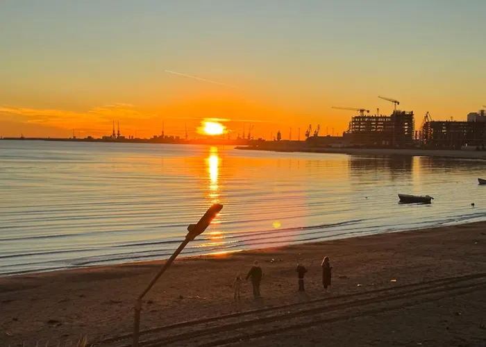 Front Superior Forest