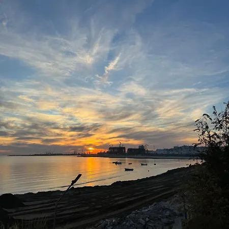 Front Superior Forest دراس