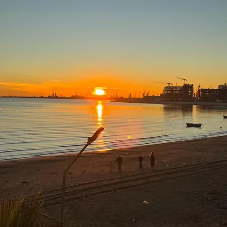 Front Superior Forest